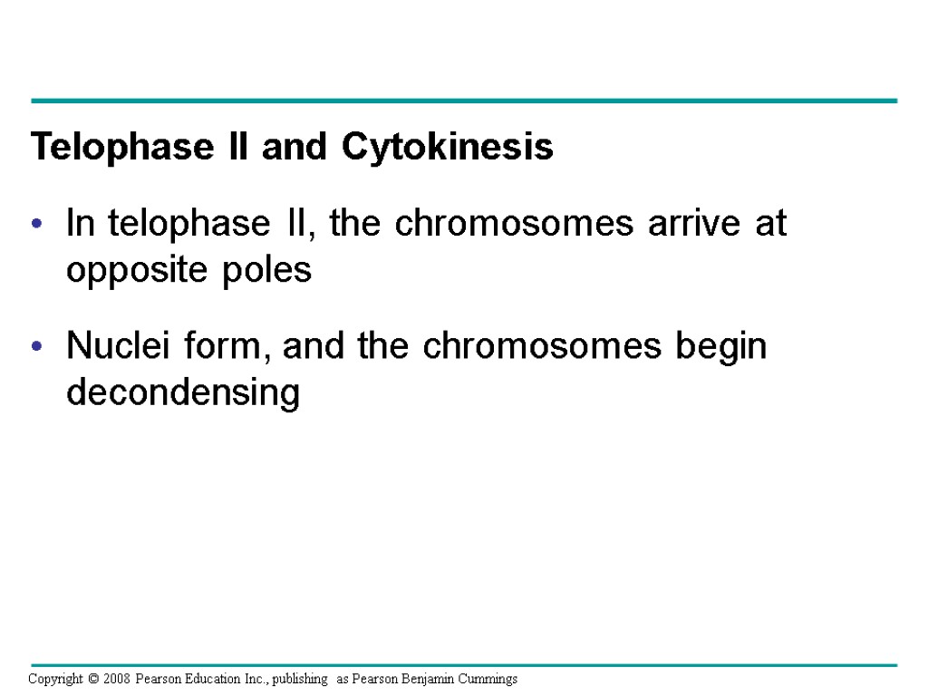Telophase II and Cytokinesis In telophase II, the chromosomes arrive at opposite poles Nuclei